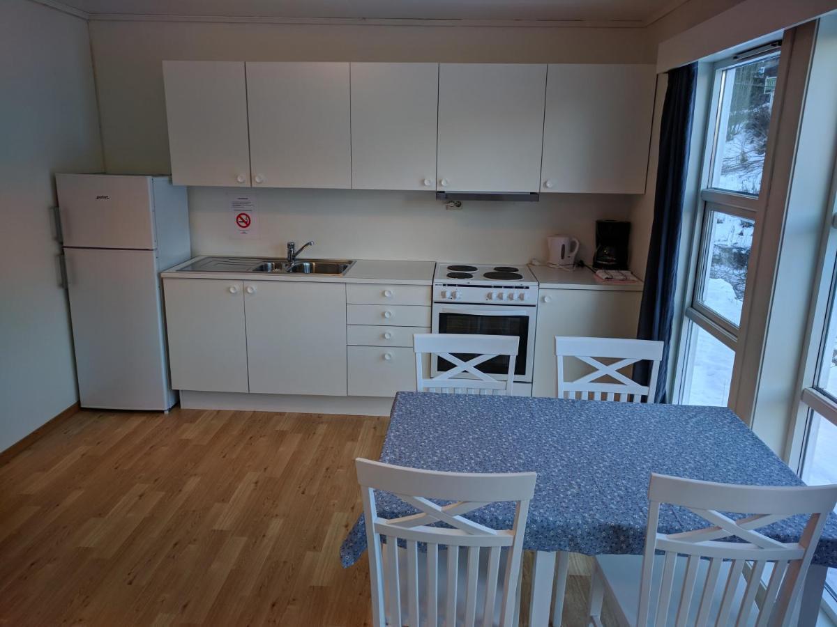 Seljord Apartment Экстерьер фото